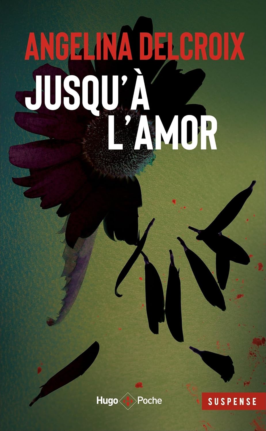 Couverture du livre Jusqu'à l'amor d'Angélina Delcroix